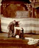 A Scene from "Darling of the Gods"